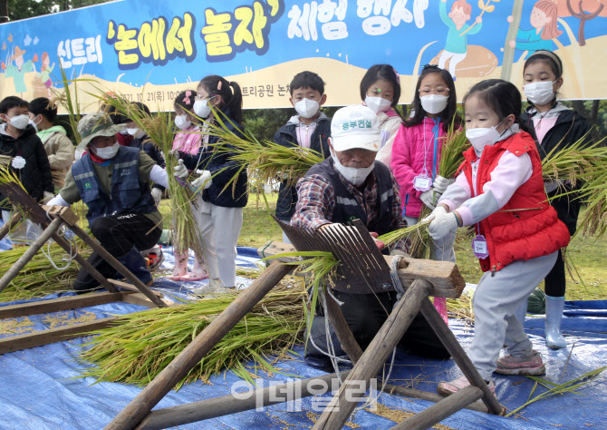  양천구, 가을걷이 체험 행사                                                                                                                                                                       