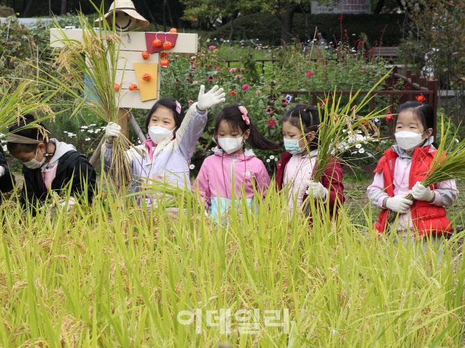  양천구, 가을걷이 체험                                                                                                                                                                            