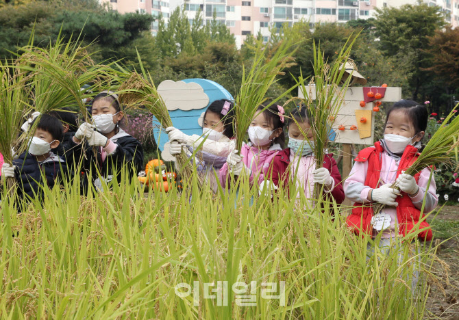 양천구, 도심 속 가을걷이 체험                                                                                                                                                                    