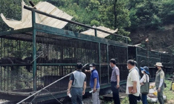 "두 마리 탈출" 불법 도축 숨기려 허위신고한 용인 곰 농장주 구속