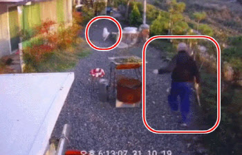 (영상)'개 죽이겠다' 삽 들고 집 마당 침입한 남성