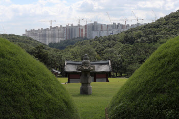 왕릉 앞 아파트, 나무 심어서 가려라?…문화재청 “검토할 것”