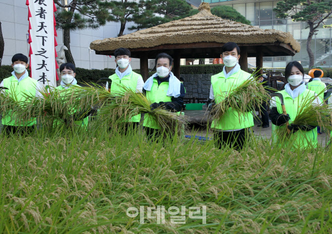  농협, 전통 벼베기                                                                                                                                                                                