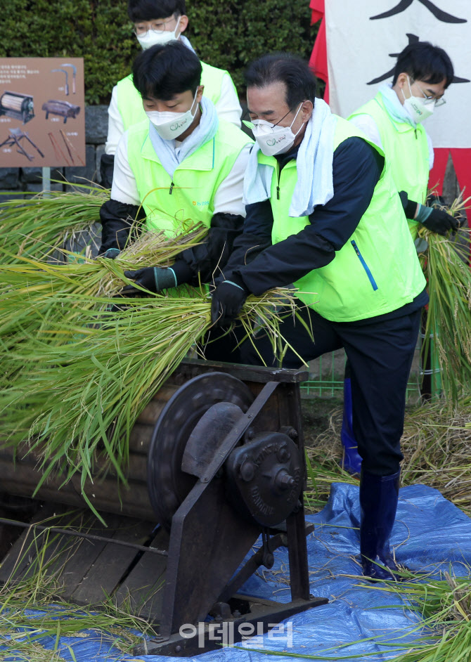  탈곡하는 이성희 농협회장                                                                                                                                                                         