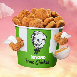 “치킨 없는 치킨?” KFC와 연구끝에 출시한 회사