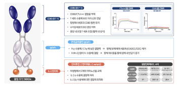 지아이이노베이션 “IL-2 Treg 조절 문제없다”