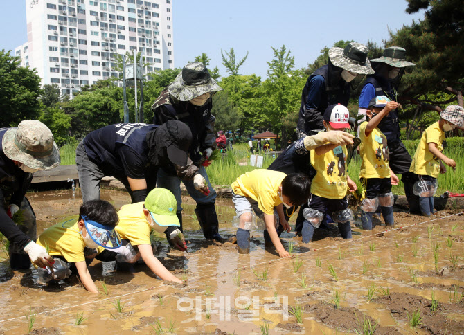  농부가 된 도심 어린이                                                                                                                                                                            