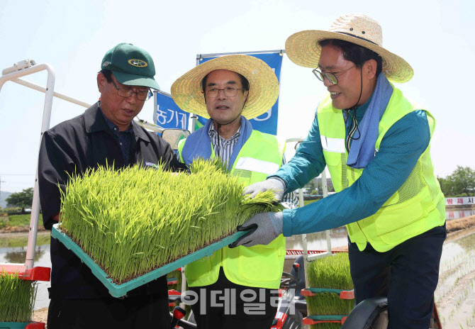  농협, 반자율이양기 드문모 심기                                                                                                                                                                   