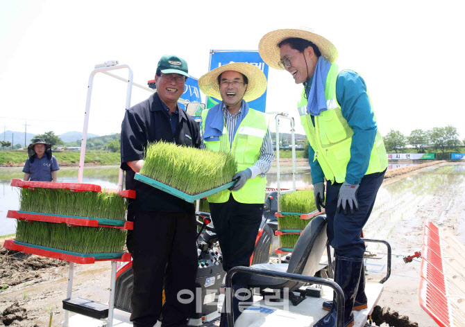  농협, 드문모 심기 시연                                                                                                                                                                           