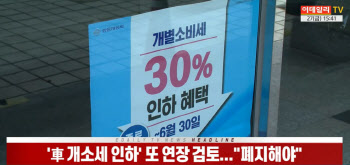 (영상)'車 개소세 인하' 또 연장 검토..."폐지해야"