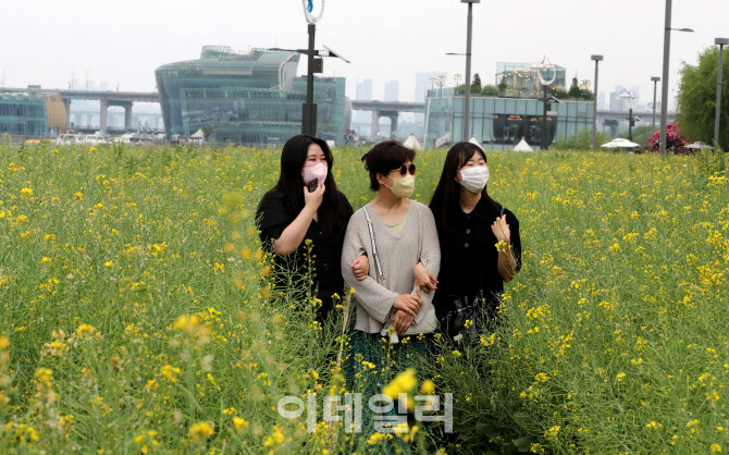 유채꽃과 즐거운 휴일                                                                                                                                                                              