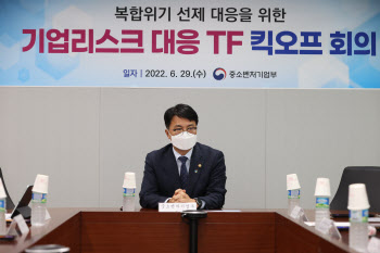 중기부, '기업리스크 대응 TF' 신설…복합위기 징후 선제 대응