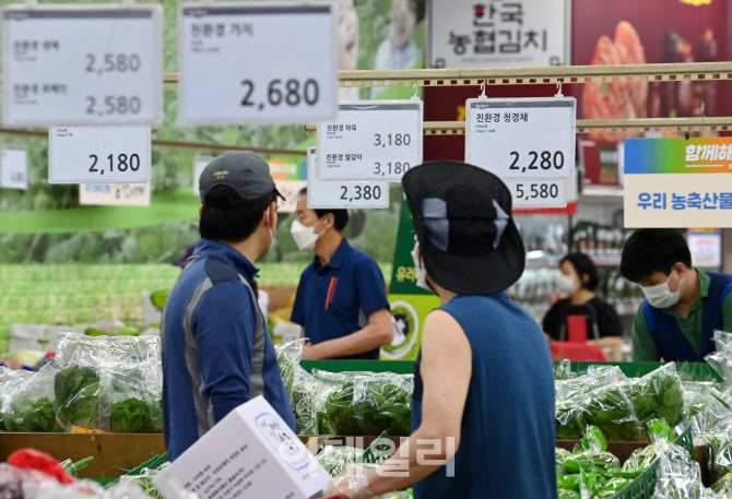 장마·폭우에 밥상물가 들썩…채솟값 줄줄이 급등                                                                                                                                                    