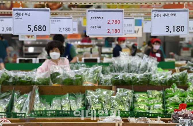 폭염·폭우에 밥상물가 들썩…채솟값 줄줄이 급등                                                                                                                                                    