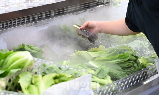폭염·폭우에 생산량 줄고 출하 막히고… 채솟값 ‘들썩들썩’                                                                                                                                        