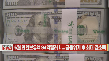 (영상)6월 외환보유액 94억달러↓...금융위기 후 최대 감소폭