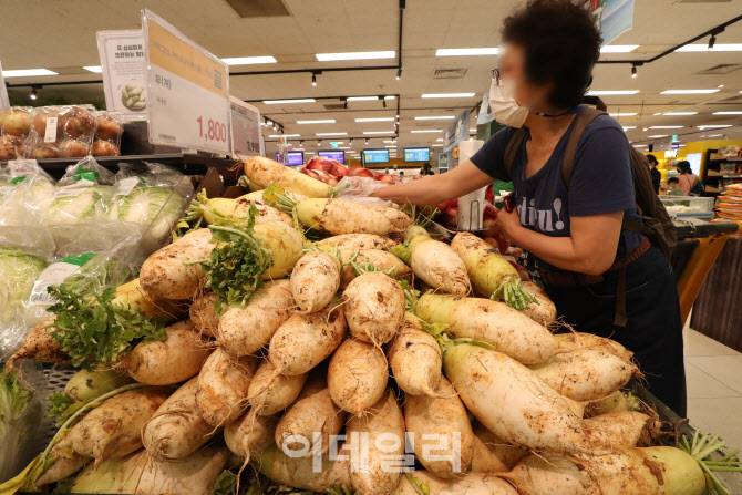 소비자물가 상승률 IMF 외환위기 이후 최대                                                                                                                                                          