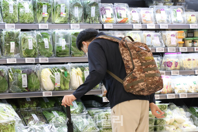 소비자물가지수 전년 동기 대비 6% 상승                                                                                                                                                             