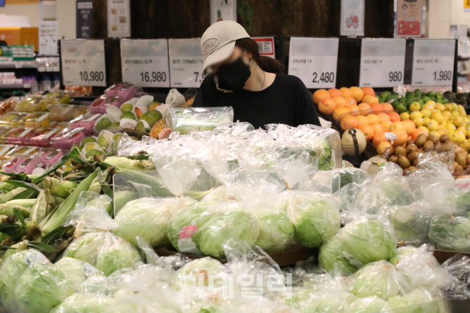 소비자물가 상승률 23년 7개월 만에 6% 돌파                                                                                                                                                         