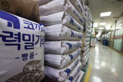 쌀로 밀가루 대체한다…쌀가공산업 활성화 거버넌스 구축