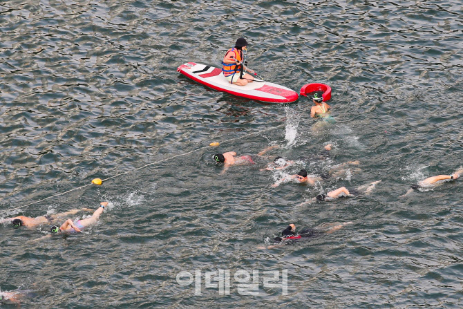 석촌호수에서 수영하는 철인들                                                                                                                                                                      