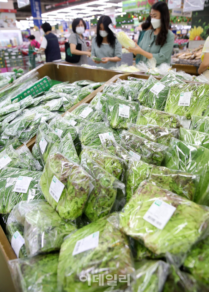  채소류 가격 상승세                                                                                                                                                                               