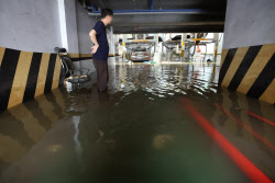 중부지방 폭우에…중고차 업계 연이은 타격