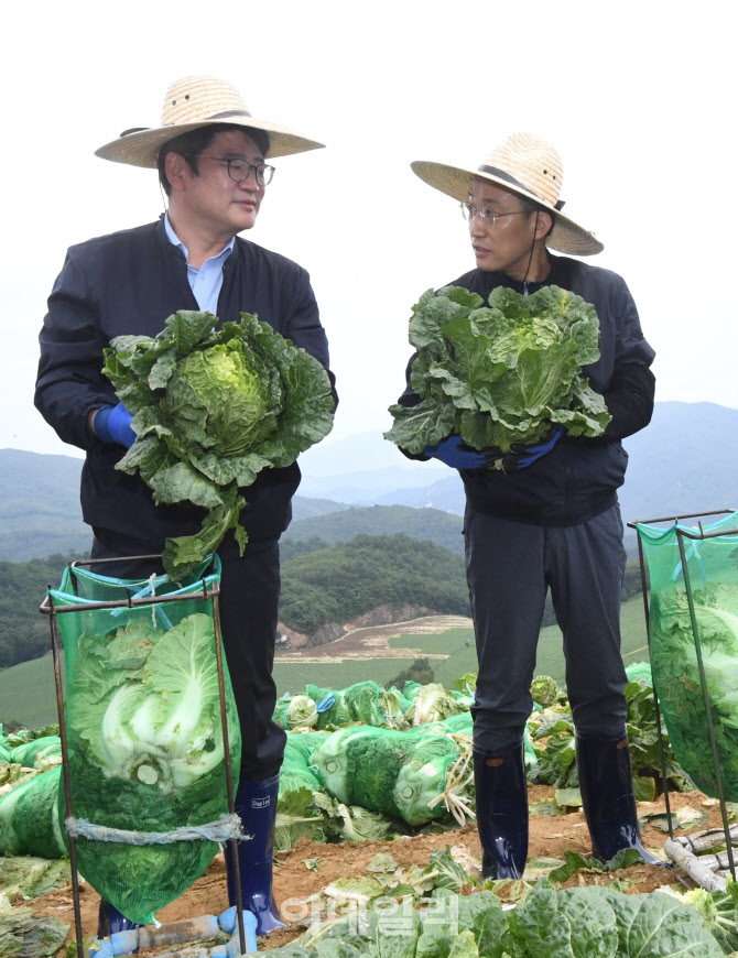 배추 들어올리는 추경호 부총리                                                                                                                                                                     