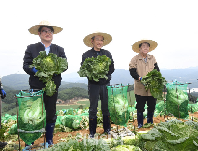 배추 생육사태 점검하는 추경호 부총리                                                                                                                                                              
