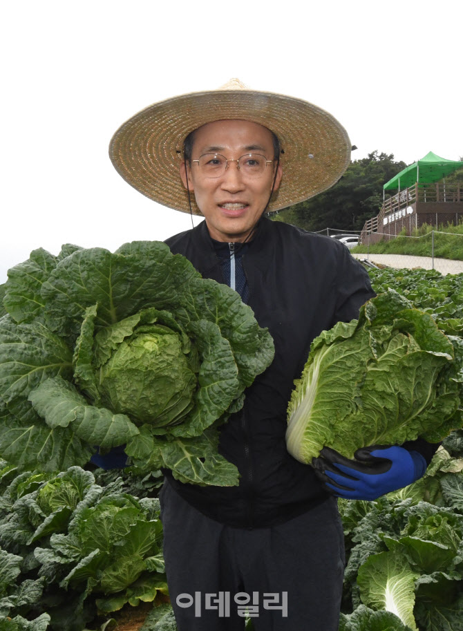 추경호 부총리, 고랭지 배추밭에서 배추 생육사태 점검                                                                                                                                               
