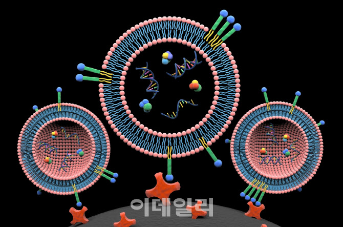 [엑소좀 산업 대해부]①“2026년 38조 시장되나”, 미래 먹거리 엑소좀 산업 ... - 뉴스 썸네일 이미지