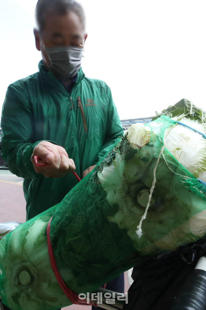 '金'배추는 조심히~                                                                                                                                                                      