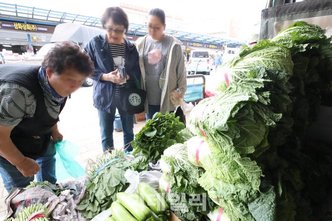 배추 가격 1년전에 비해 64.3% 인상                                                                                                                                                                 