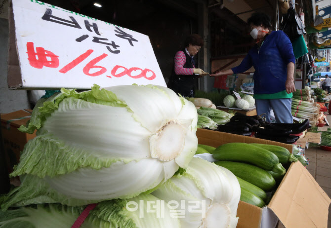 배추 한 포기에 만원 육박                                                                                                                                                                          