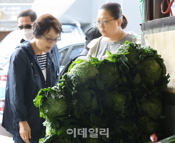 배추 구매 주저하게 하는 가격                                                                                                                                                                      