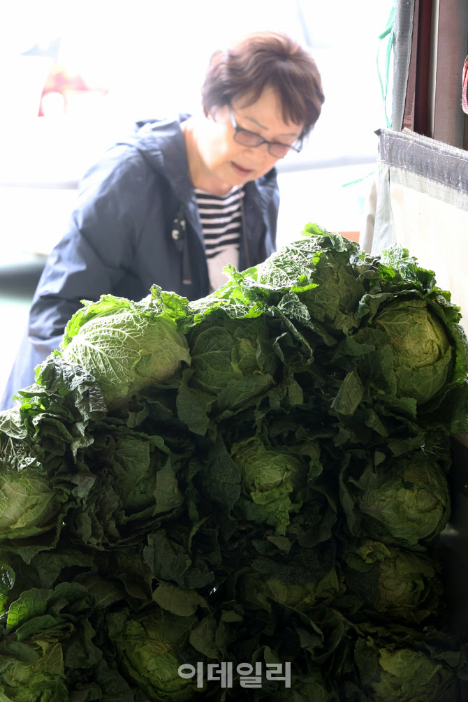 배추 사야할까?                                                                                                                                                                                    