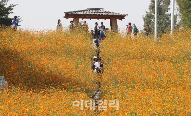 '가을을 느끼다'                                                                                                                                                                         