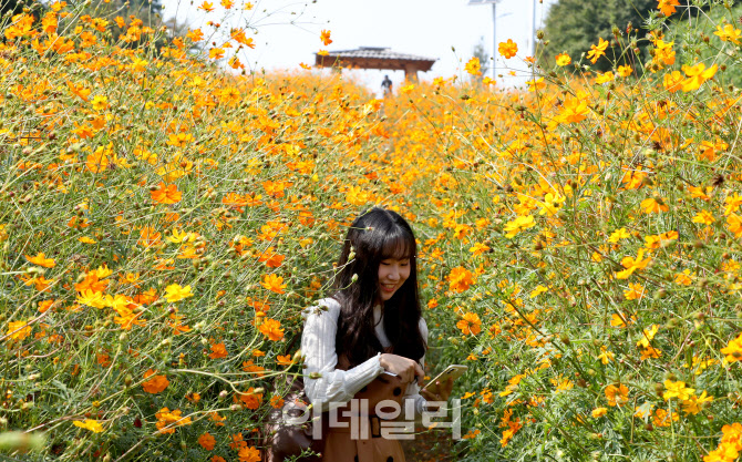 '가을 한 장 찰칵'                                                                                                                                                                       