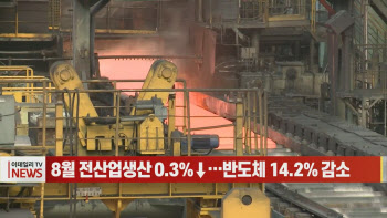 (영상)8월 전산업생산 0.3%↓…반도체 14.2% 감소