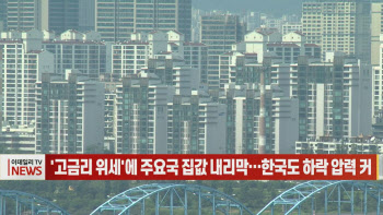 (영상)'고금리 위세'에 주요국 집값 내리막…한국도 하락 압력 커