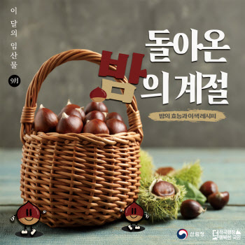 산림청, 이달의 임산물 주인공으로 '밤' 선정