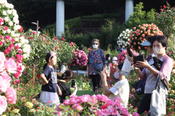 장미 정원에서 사진 찍는 시민들