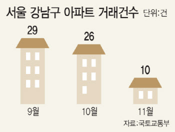 강남 중개업소 사실상 개점휴업…11월 실거래 10건뿐