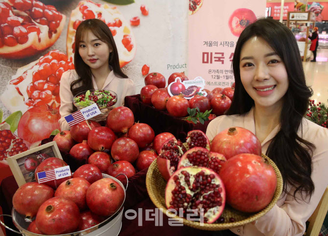  에스트로겐과 폴리페놀 풍부한 '석류'                                                                                                                                                    