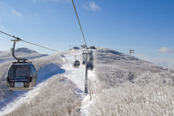 "스키의 계절이 돌아왔다"… 하이원스키장 이달 9일 개장