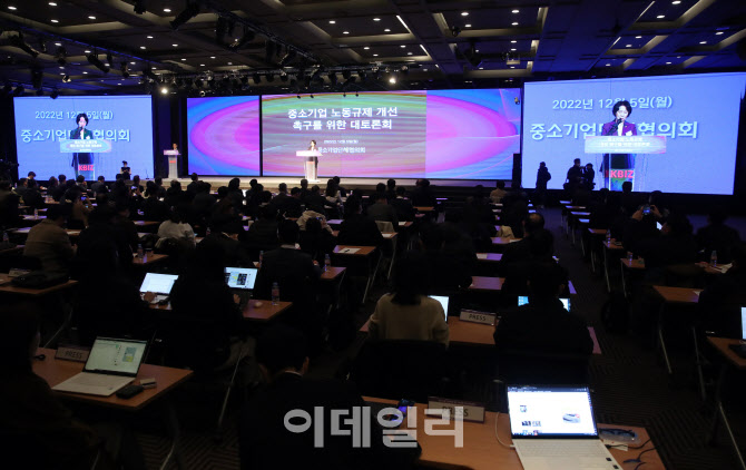  중소기업 노동규제 개선 촉구를 위한 대토론회                                                                                                                                                      