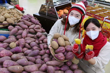 농협유통, 겨울간식 고구마·감자 할인판매