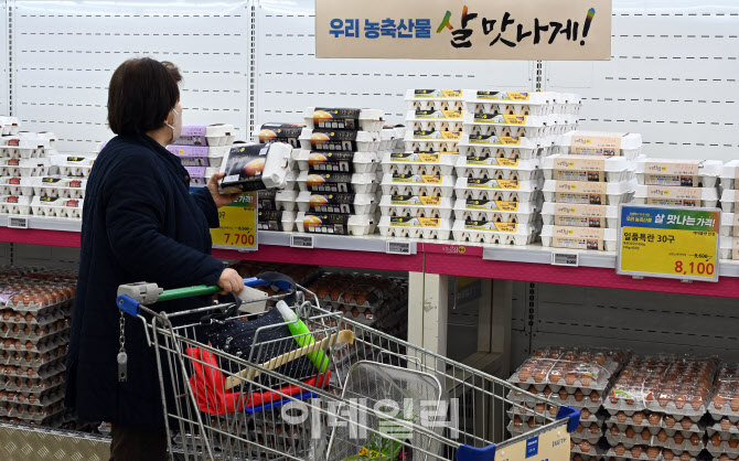  AI 확산세로 계란 오름세                                                                                                                                                                          