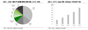 CATL, 저평가된 글로벌 배터리 시장 점유율 1위 中 기업