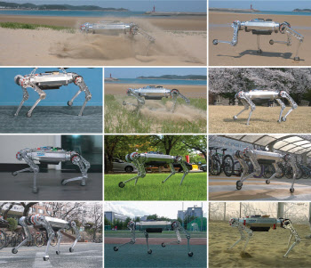 해변 모래사장에서 달리고, 매트리스에서 회전하는 로봇 개발